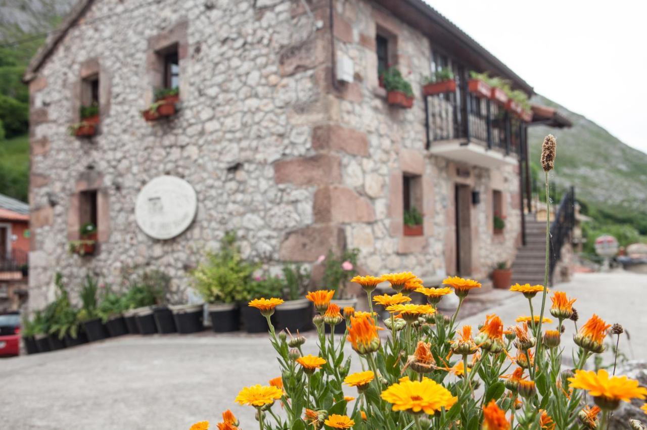 Apartamentos Rurales El Tio Pablo Picos De Europa Tresviso ภายนอก รูปภาพ
